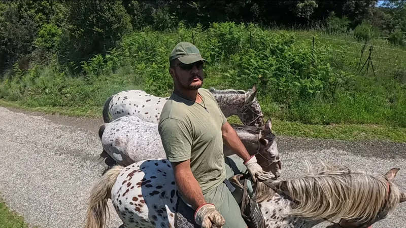AJ